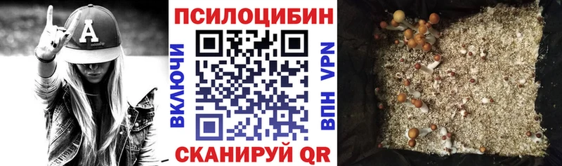Псилоцибиновые грибы Psilocybe  Нальчик 